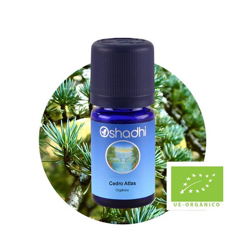 Óleo Essencial de Cedro Atlas Orgânico 5ml