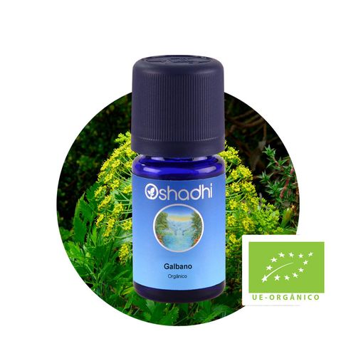 Óleo Essencial de Galbano Orgânico 5ml