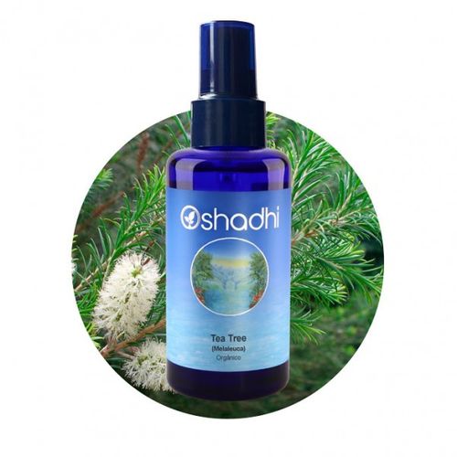 Hidrolato de Tea Tree Melaleuca 100ml