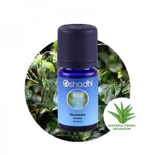 Óleo Essencial de Ravensara Anisata Selvagem 5ml