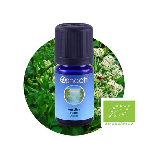 Óleo Essencial de Angelica Raízes Orgânico 3ml