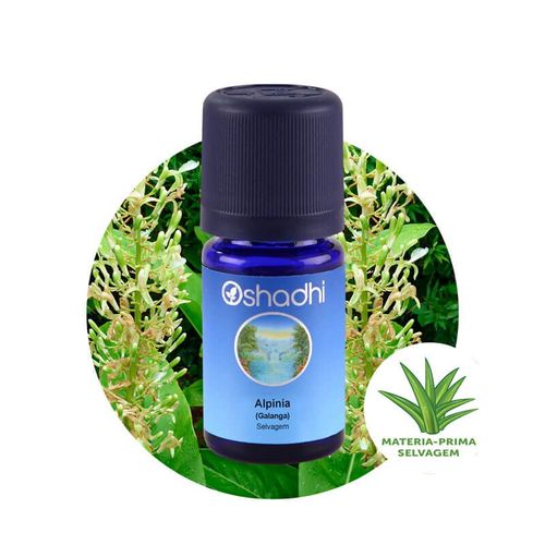 Óleo Essencial de Alpinia Galanga Selvagem 5ml