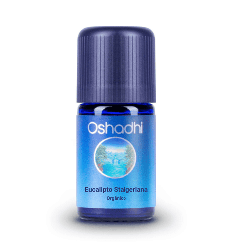 Óleo Essencial de Eucalipto Staigeriana Orgânico 5ml