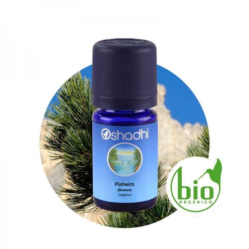 Óleo Essencial de Pinheiro Branco Orgânico 5ml